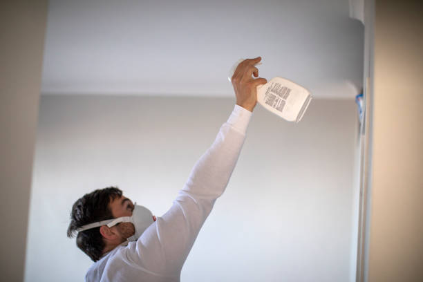 Best Local Mold Removal Service  in Versailles, OH