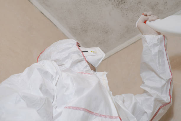 Best Crawl Space Mold Removal  in Versailles, OH